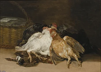 Uccelli morti